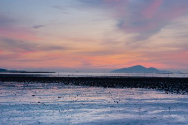19 Haziran 2007, Yuen Long bölgesi, Hong Kong 