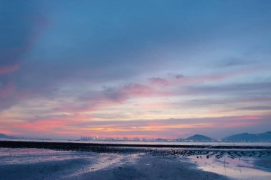 19 Haziran 2007, Yuen Long bölgesi, Hong Kong 