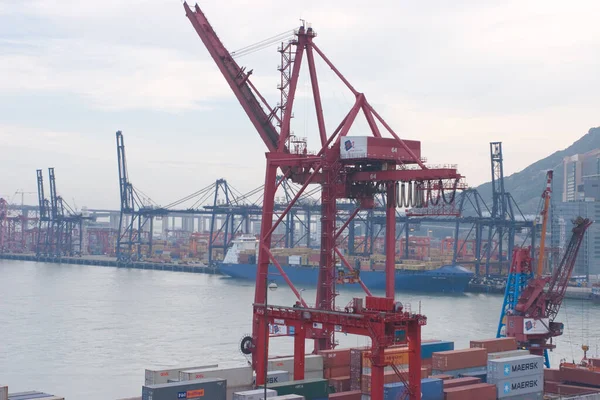 18 Haziran 2007, Hong Kong 'daki Kwai tsing bölgesi. 