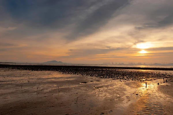 19 Haziran 2007, Yuen Long bölgesi, Hong Kong 