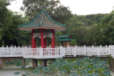 Wun Chuen Sin Koon 'daki yaz lotusu 2 Temmuz 2007