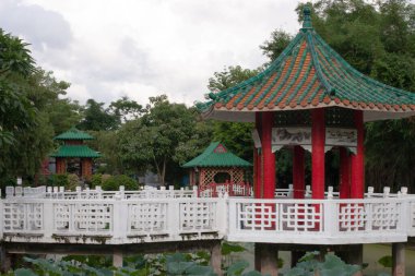 Wun Chuen Sin Koon 'daki yaz lotusu 2 Temmuz 2007