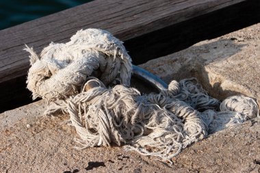 Balık fugu, zehirli balık, kirpi balığı olarak da bilinir. 7 Temmuz 2007 