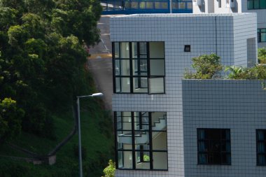 Hong Kong Bilim ve Teknoloji Üniversitesi (HKust). Editör, üniversite. 7 Temmuz 2007