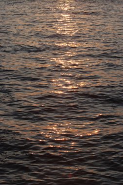 26 Temmuz 2007 Yaz mevsiminde Wan Chai bölgesi 