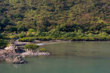 Sunny Bay Plajı 'ndaki doğa manzarası, Hong Kong 2 Aralık 2007