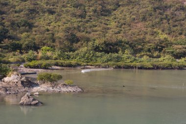 Sunny Bay Plajı 'ndaki doğa manzarası, Hong Kong 2 Aralık 2007