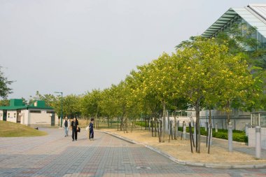 Sunny Bay İstasyonu, Hong Kong 2 Aralık 2007