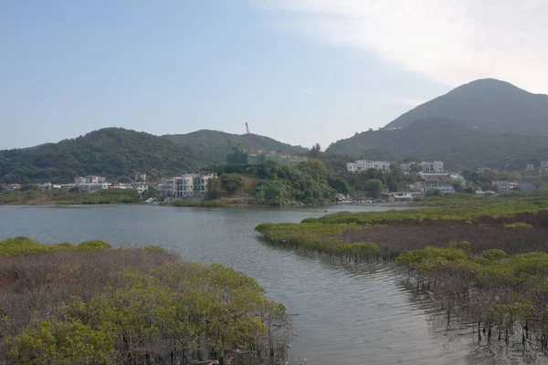 Wetland Nam Wai Sai Kung Dic 2007 — Foto de Stock