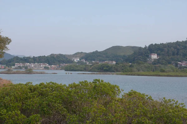 Das Feuchtgebiet Von Nam Wai Sai Kung Dez 2007 — Stockfoto