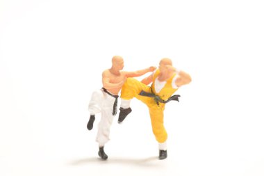 Kung fu dövüşçülerinin minyatürü 