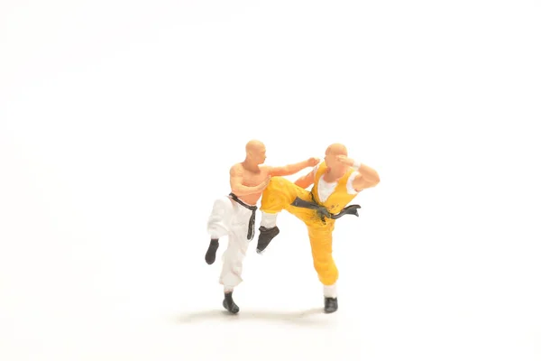 Mini Figura Kungfu Luchando —  Fotos de Stock