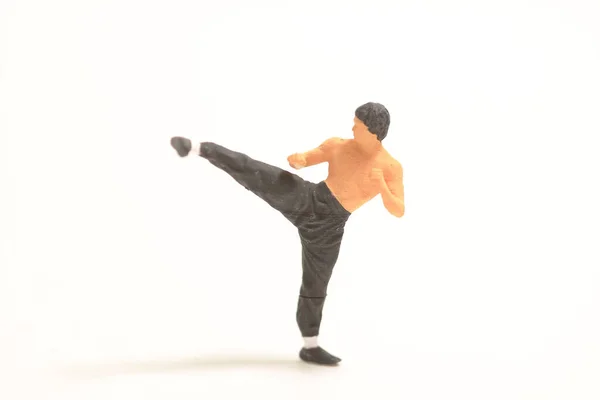 Kung Dövüşçülerinin Minyatürü — Stok fotoğraf