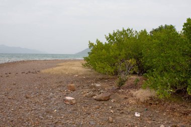 Nai Chung Pebbles Plajı, 30 Aralık 2007 