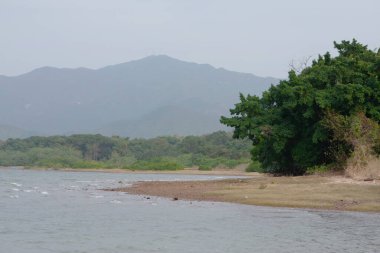 30 Aralık 2007 Nai Chung Pebbles Plajı, sah tin hk