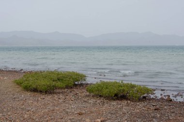 Nai Chung Pebbles Plajı, 30 Aralık 2007 