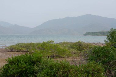 30 Aralık 2007 Nai Chung Pebbles Plajı, sah tin hk