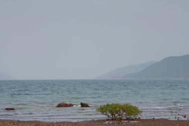 30 Aralık 2007 Nai Chung Pebbles Plajı, sah tin hk