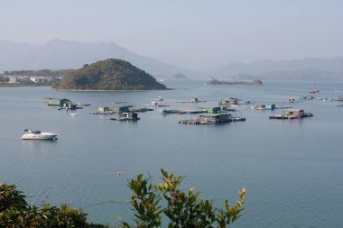 26 Aralık 2007 Sai Kung, Hong Kong 'da doğa manzarası