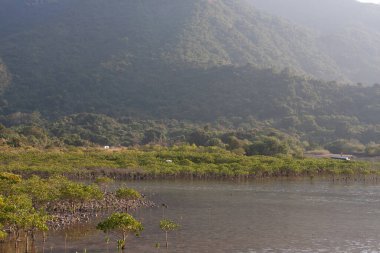 26 Aralık 2007 Sai Kung, Hong Kong 'da doğa manzarası