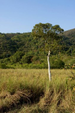 26 Aralık 2007 Sai Kung, Hong Kong 'da doğa manzarası
