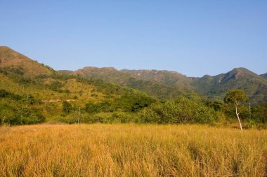 26 Aralık 2007 Sai Kung, Hong Kong 'da doğa manzarası