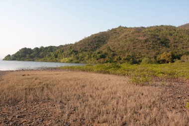 26 Aralık 2007 Sai Kung, Hong Kong 'da doğa manzarası