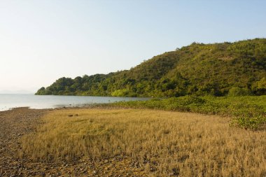 26 Aralık 2007 Sai Kung, Hong Kong 'da doğa manzarası