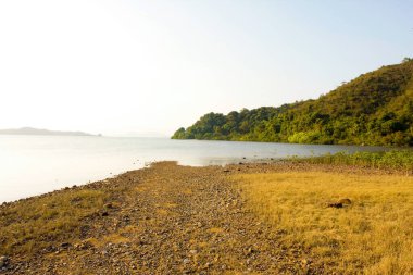 26 Aralık 2007 Sai Kung, Hong Kong 'da doğa manzarası