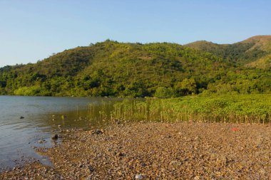 26 Aralık 2007 Sai Kung, Hong Kong 'da doğa manzarası