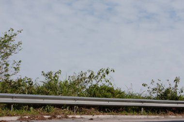  Fei Ngo Shan 'ın ana yolu, Sai kung, 26 Eylül 2007