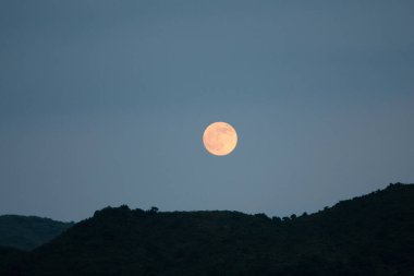 Bir dağ manzarası. Karanlık orman ve tepelerin üzerinde gece gökyüzü ve ay