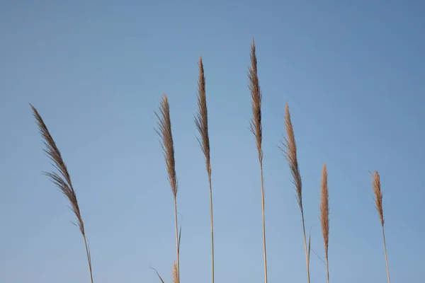 Dec 2007 Het Natuuruitzicht Sai Kung Hong Kong — Stockfoto