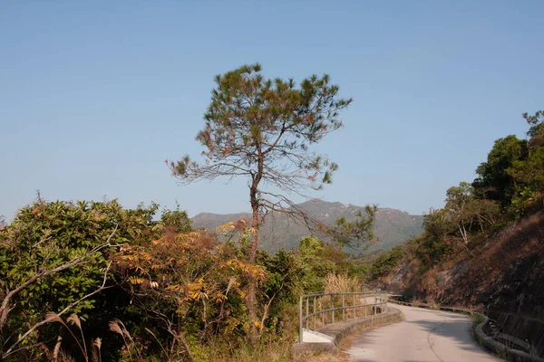 Dez 2007 Vista Natureza Sai Kung Hong Kong — Fotografia de Stock