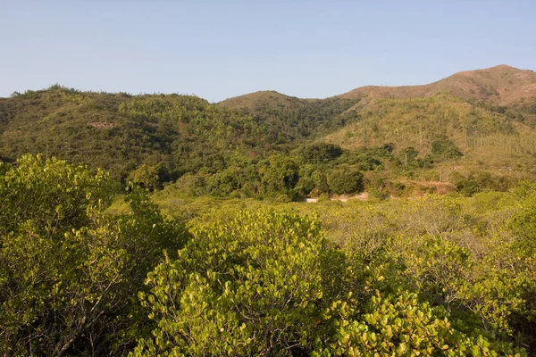 Déc 2007 Vue Sur Nature Sai Kung Hong Kong — Photo