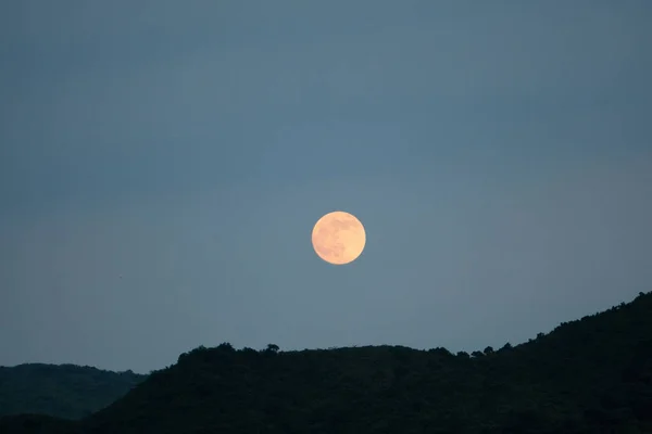 山の風景だ 暗い森や丘の上の夜空と月 — ストック写真