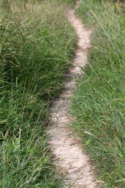 High Junk Peak Country Trail 22 Eylül 2007