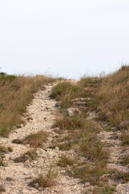 High Junk Peak Country Trail 22 Eylül 2007