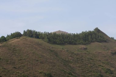  High Junk Peak Country Trail 22 Eylül 2007