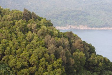  High Junk Peak Country Trail 22 Eylül 2007