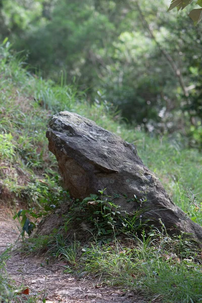 Der Blick Auf Die Natur Des High Junk Peak Country — Stockfoto