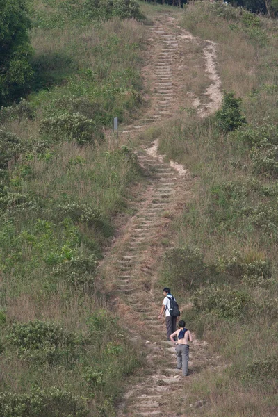 Der Blick Auf Die Natur Des High Junk Peak Country — Stockfoto