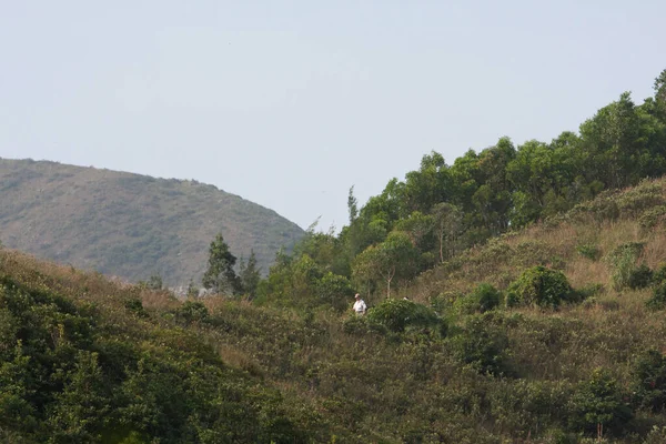 Het Natuurbeeld Van High Junk Peak Country Trail September 2007 — Stockfoto