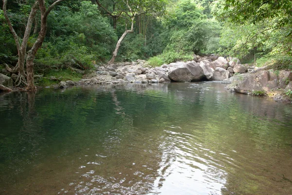 Сентября 2007 Верхнее Син Мун Водохранилище Квай Чун — стоковое фото