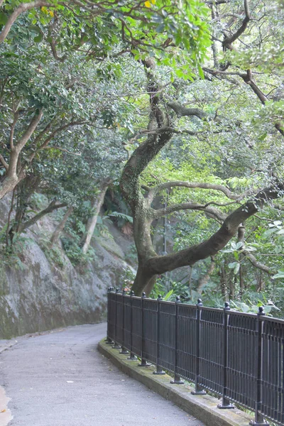 Het Pad Van Lugard Road Lookout Hong Kong September 2007 — Stockfoto