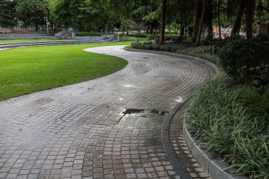 Huzurlu bir şehir parkında kıvrımlı bir yol.