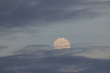 Yumuşak bulutlarla kısmen kaplanmış dolunayın rüya gibi görüntüsü. 