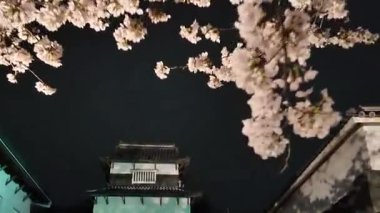 Sakura Bahçesi Fukuoka Kalesi Parkı Japonya, 28 Mart 2025
