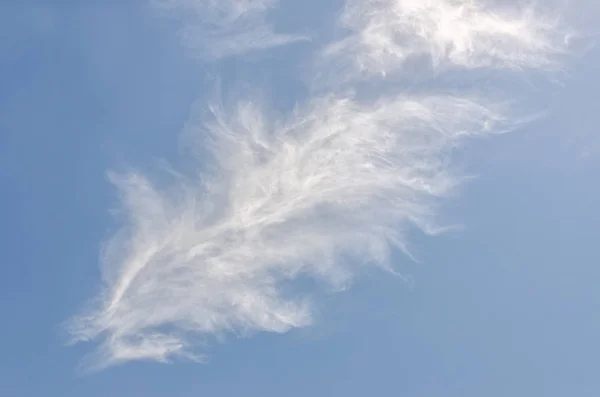 Céu Azul Com Nuvens Brancas Que Parecem Com Penas — Fotografia de Stock