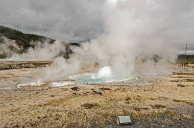 Spouter Şofben Yellowstone içinde siyah kum havzasında, küçük patlama